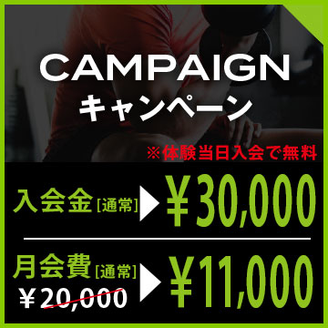 キャンペーン